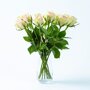 Brievenbus Rozen roze vaas